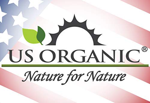 US Organic Helichrysum Essential Oil, USDA Certified Organic, Steam Distilled, Sourced from The Balkan Peninsula, High end Essential Oil (5 ml)