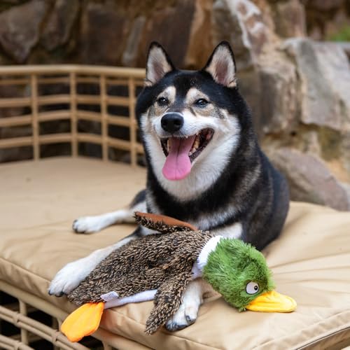 Best Pet Supplies 2-in-1 Stuffless Squeaky Dog Toys with Soft, Durable Fabric for Small, Medium, and Large Pets, No Stuffing for Indoor Play, Supports Active Biting and Play - 4 Figures, Small