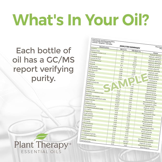 Plant Therapy White Camphor Essential Oil 10 mL (1/3 oz) 100% Pure, Undiluted, Therapeutic Grade
