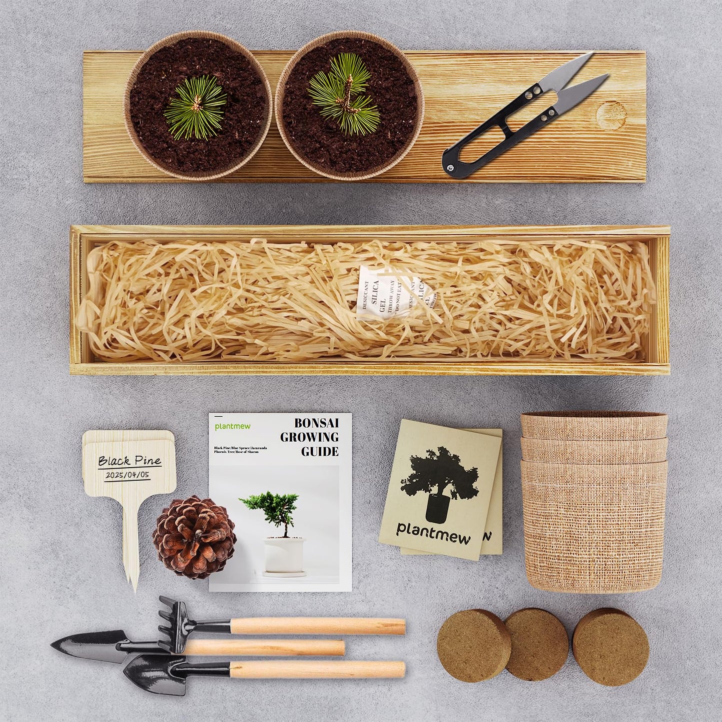 Bonsai Tree Kit – 5Pack Complete Indoor Starter Kit with 5 Unique Japanese Bonsai Trees, Tools & Planters – Perfect Gardening Gift for Women, Men, Plant Lovers – Great for Easter, Father’s Day