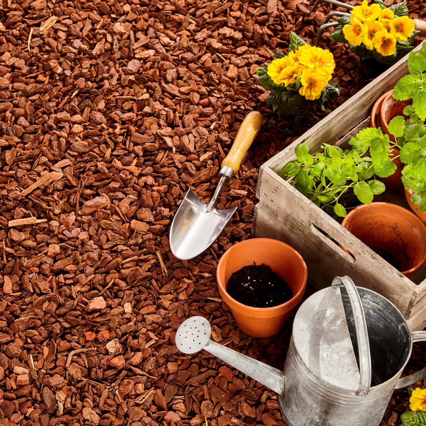 GARDENWISE Premium Pine Bark Nuggets – Pine Bark Mulch for Gardens, Landscaping, Potted Plants, and Wood Chips for Garden Beds (0.3 CF - 8 L - 9 QTS)